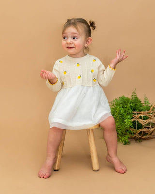 Viverano Lemon Embroidered Tutu Dress