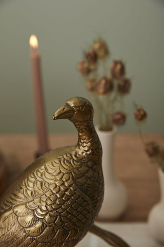 Merriam Turkey Female