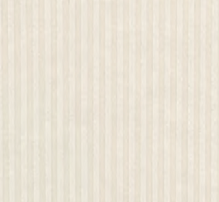 Dylan Kendra Silky Ribbed Tee