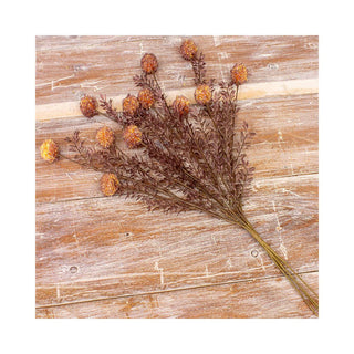 Brown Fall Pick - 20 in