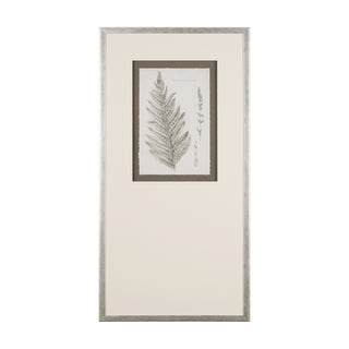 Mercana Hand Embellished Fern Study Collection