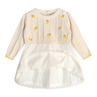 Viverano Lemon Embroidered Tutu Dress