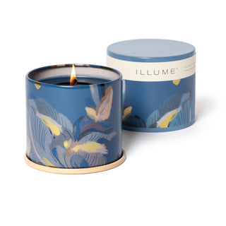 Illume Citrus Crush Collection
