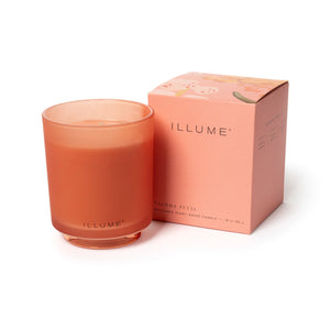 Illume Paloma Petal Collection