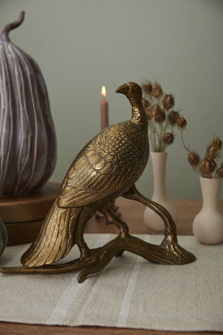 Merriam Turkey Female