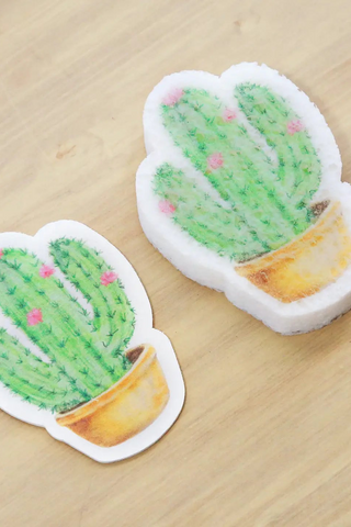 Compostable Kitchen Sponges eco cactus