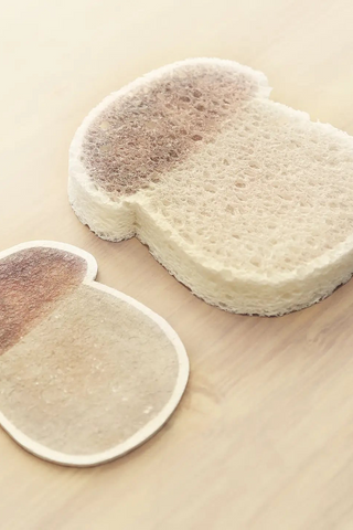 Compostable Kitchen Sponges Brown Mushroom