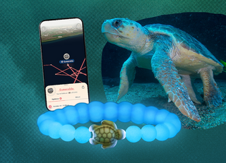 Fahlo Glow in the Dark Bracelets