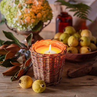 Porch View Signature Candle Collection