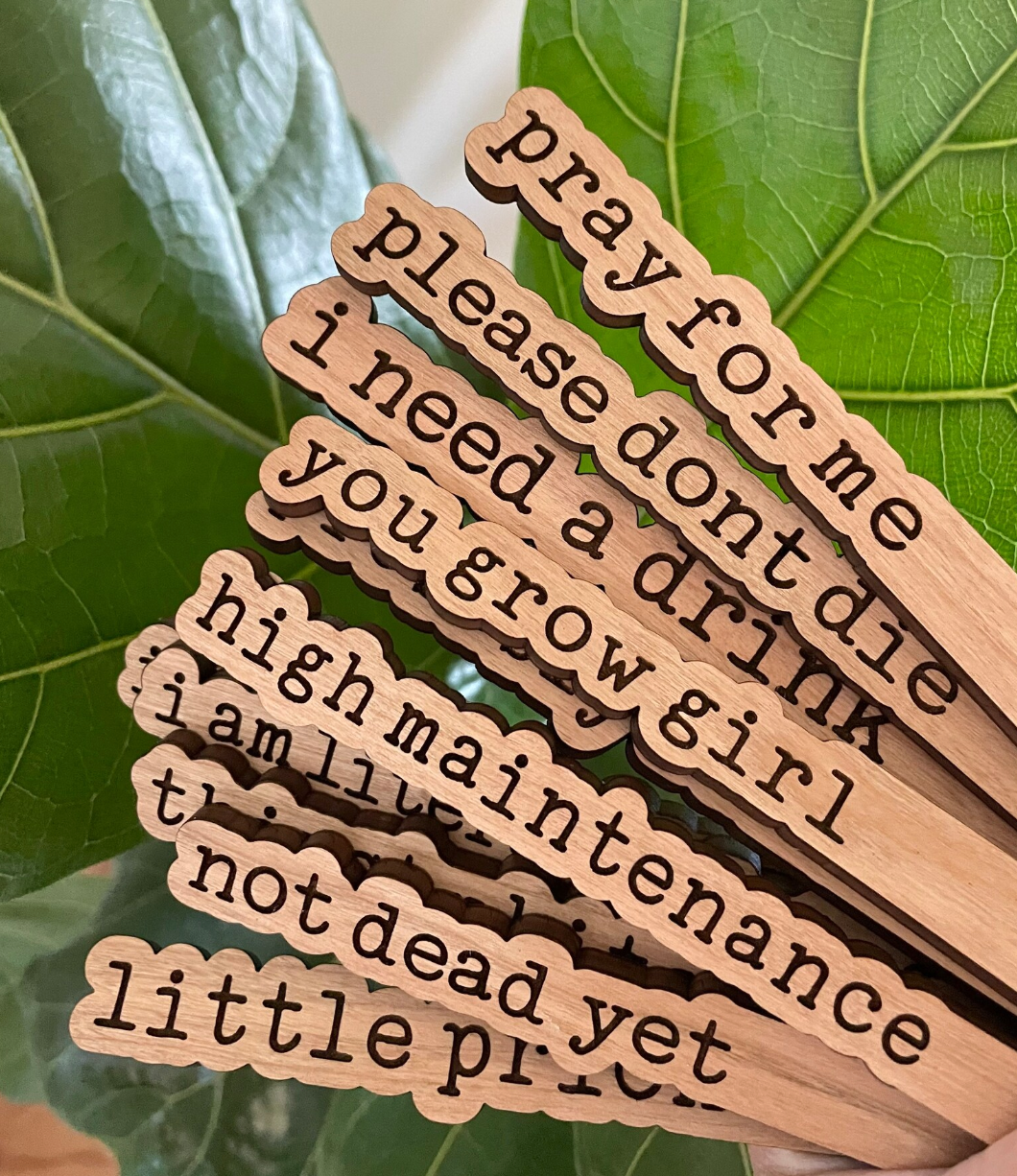 Dogwood and Dust Plant Stakes