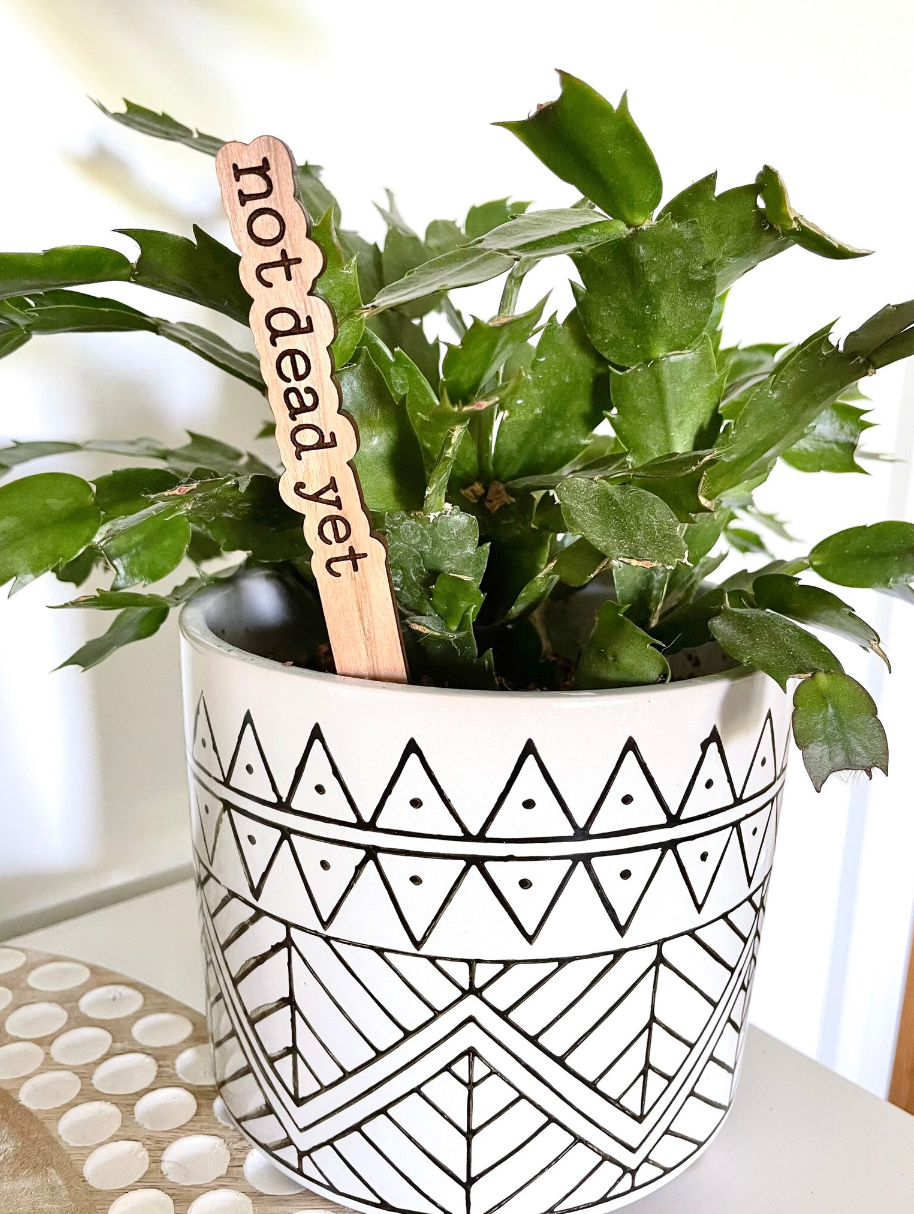 Dogwood and Dust Plant Stakes