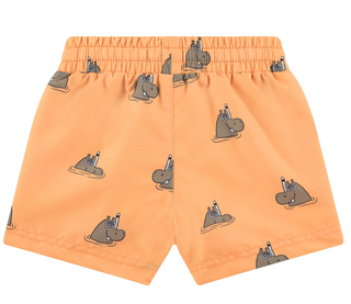 Babyface Boys Swimshorts