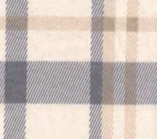 Dylan Beth Taylor Button Up