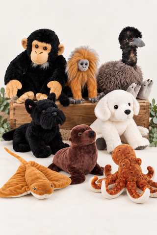 A group of plush animal toys arranged together on a white surface, including a black monkey, golden monkey, emu, black cat, white dog, brown seal, orange stingray, and orange octopus. The toys are styled with a wooden crate and small green plant leaves against a clean white background.