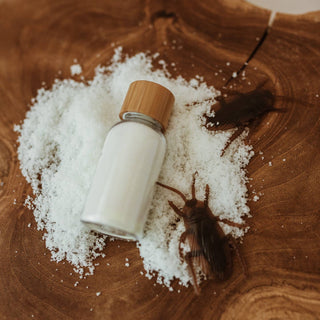 Little Potion Magic Snow Kits