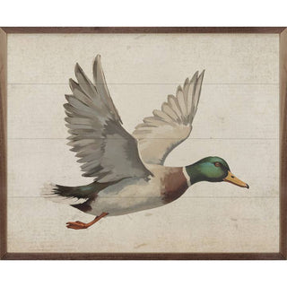 Kendrick Home Natures Birds Collection
