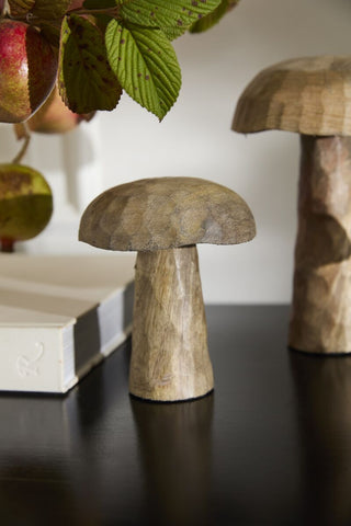 Porcini Mushroom Set of 3
