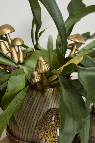 Troop Mushroom Plant Sticks