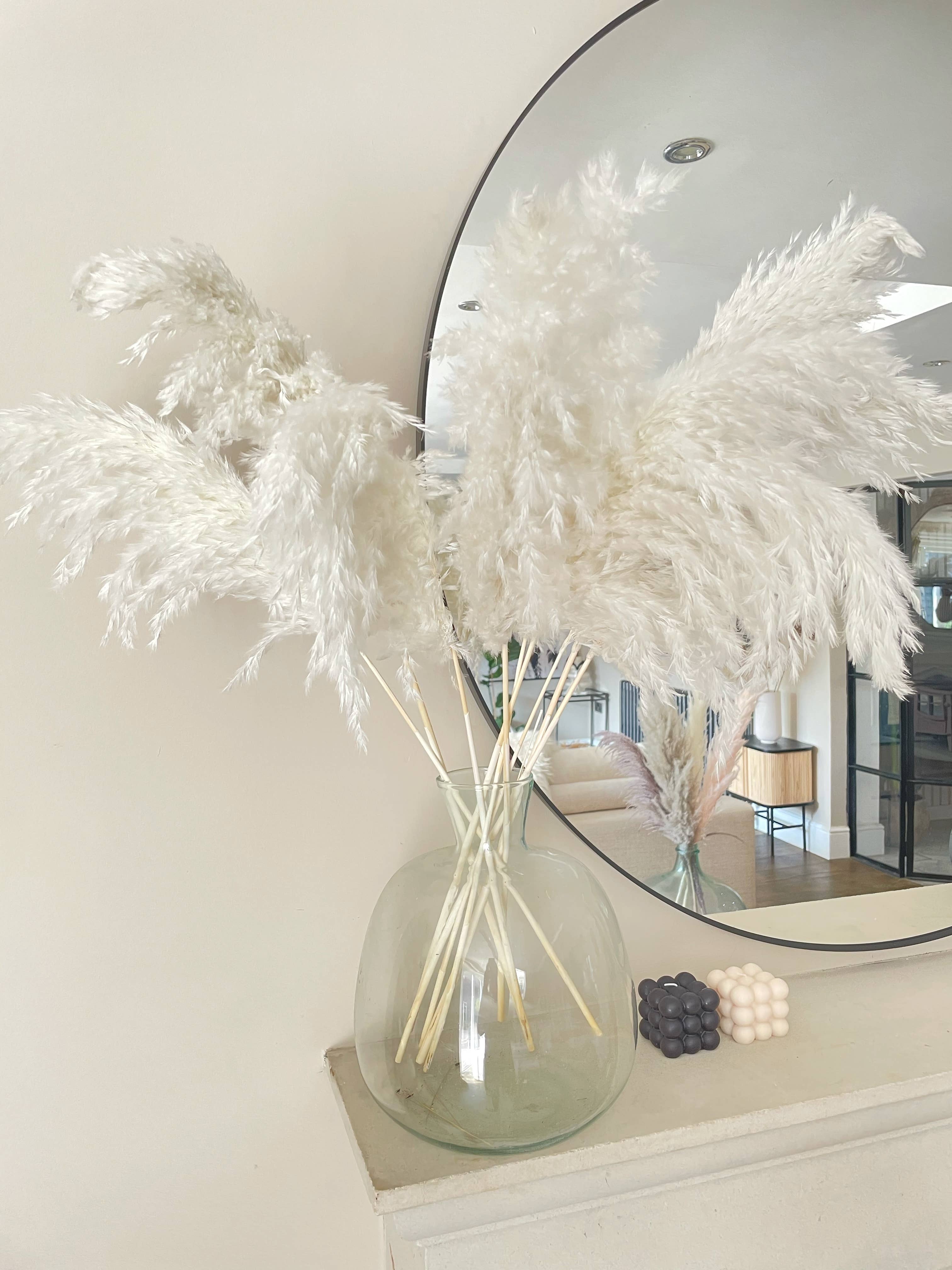 White Pampas Grass Plumes