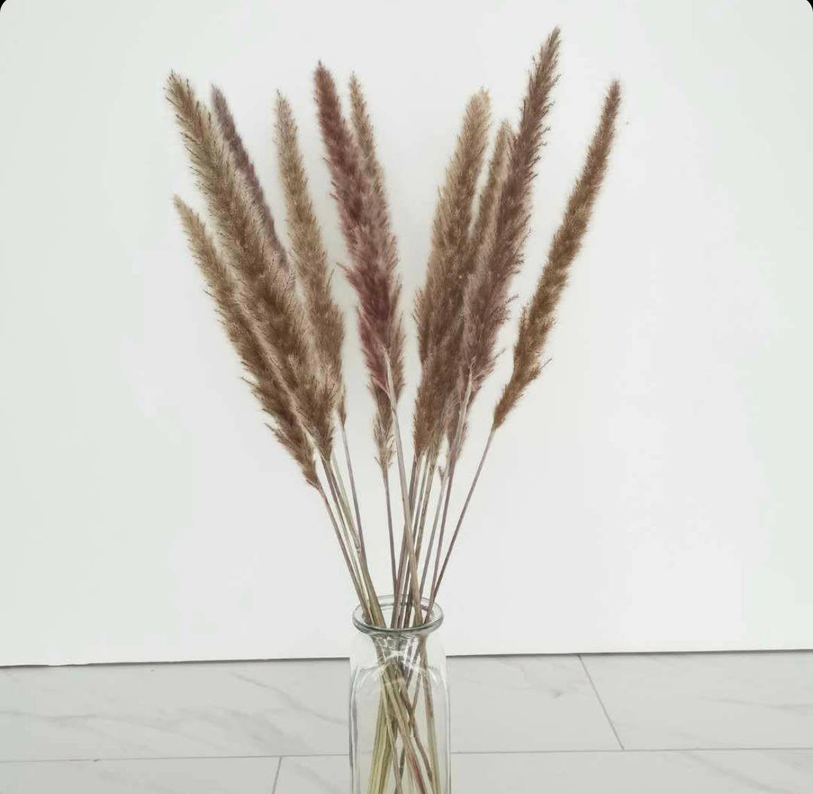 Purple Mini Dried Pampas Grass Plumes