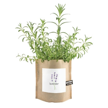 Garden-in-a-bag