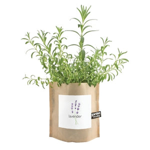 Garden-in-a-bag