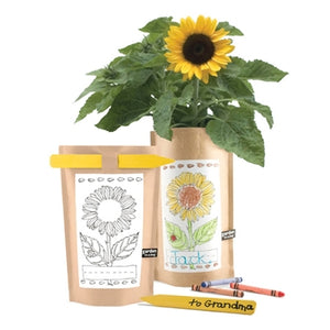 Garden-in-a-Bag - Kids