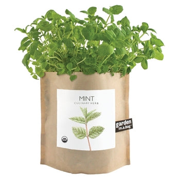 Garden-in-a-bag