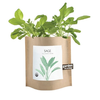 Garden-in-a-bag