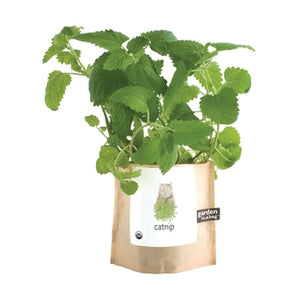 Garden-in-a-bag