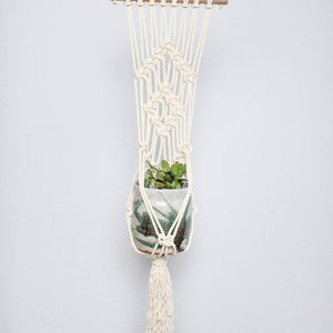 Macrame Wall Plant Hanger