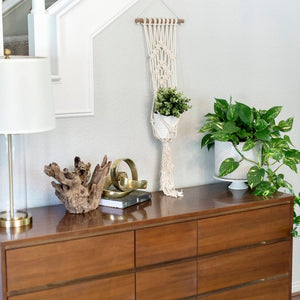 Macrame Wall Plant Hanger