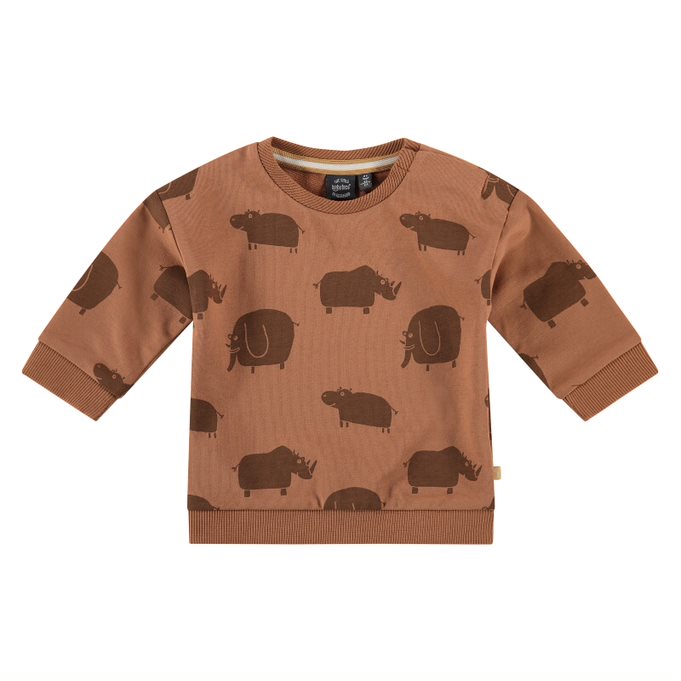 Babyface Baby Boys Zoo Sketch Sweatshirt