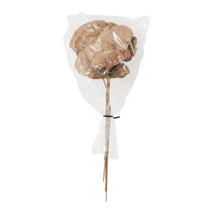 Dried Stems