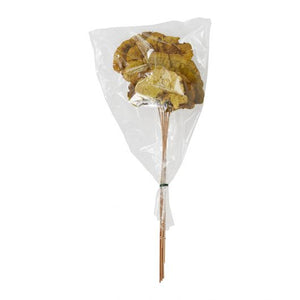 Dried Stems