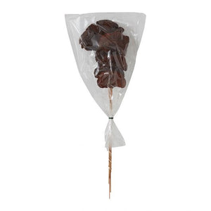Dried Stems