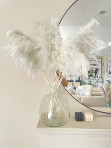 White Pampas Grass Plumes