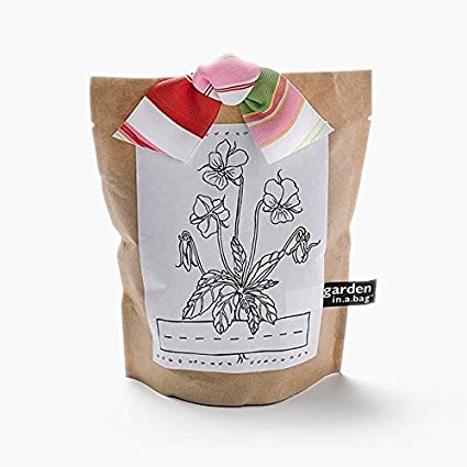 Garden-in-a-Bag - Kids