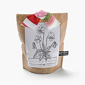 Garden-in-a-Bag - Kids