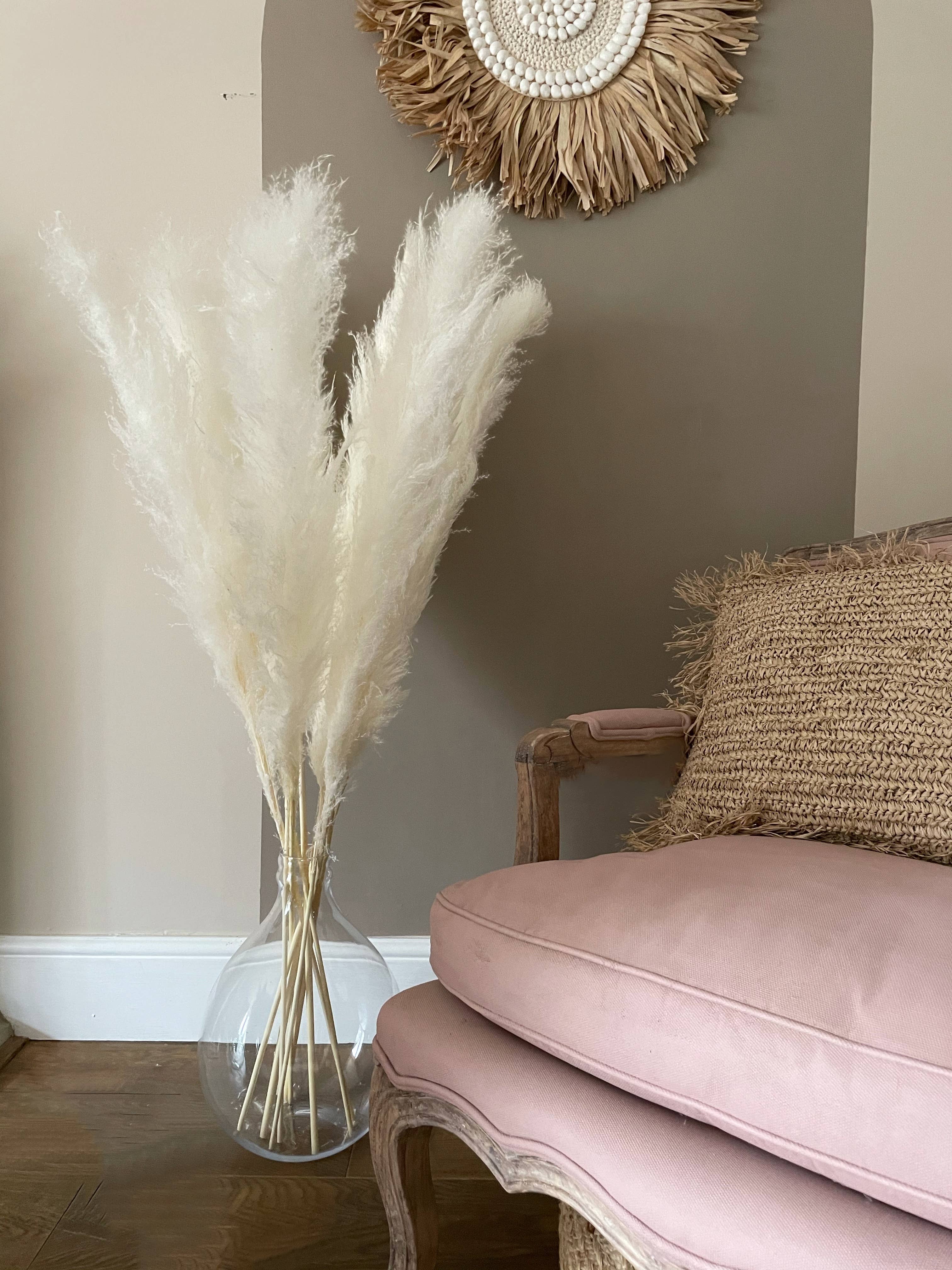 Full Creamy White Pampas Grass