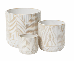 Whitcomb Pot Collection