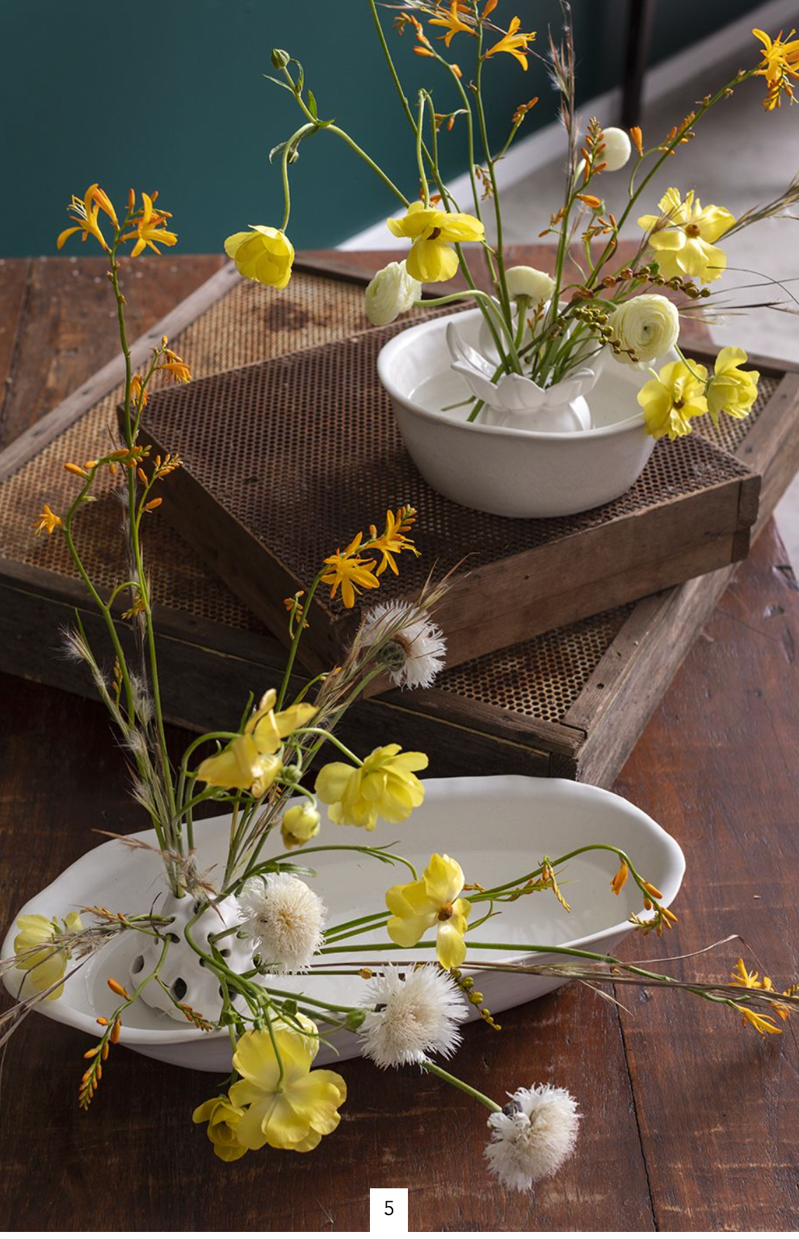 Flower Frog Collection