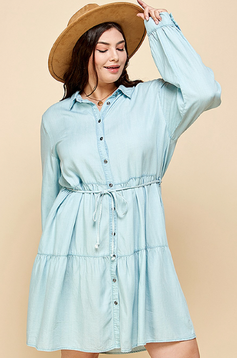 Adelle Denim Dress