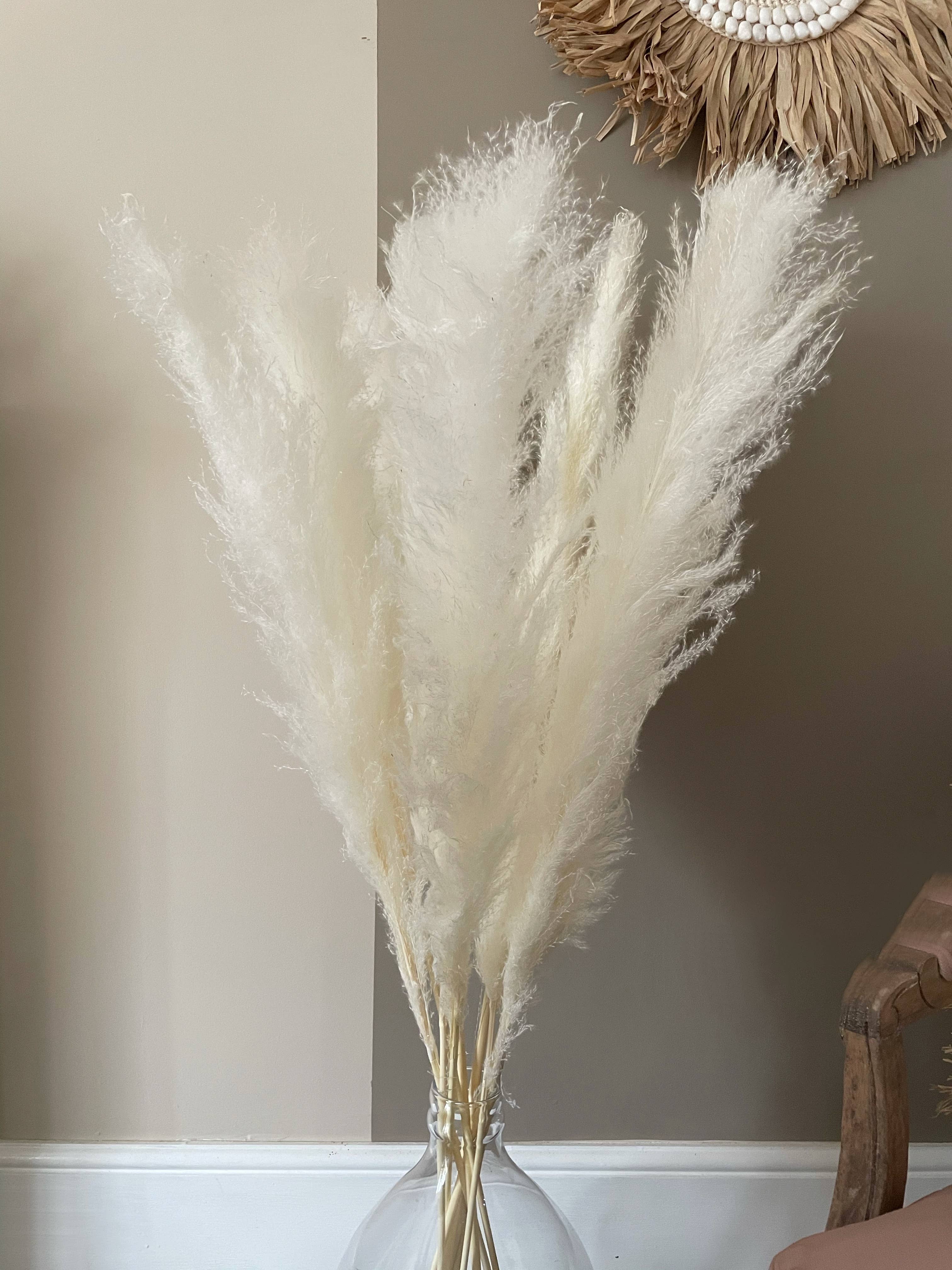 Full Creamy White Pampas Grass