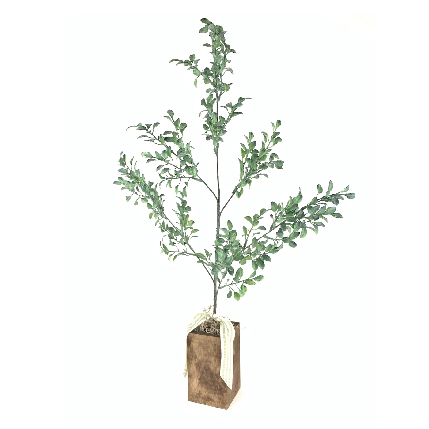 Twelve Timbers Tree Box