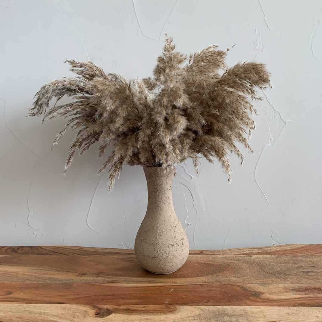 Delmar Large Stem Neutral Pampas Grass