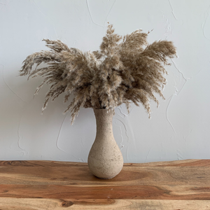 Delmar Large Stem Neutral Pampas Grass