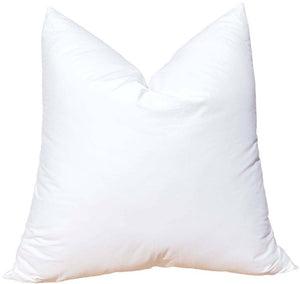 Pillow Insert