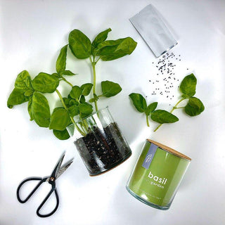 Culinary Garden Glass Jars