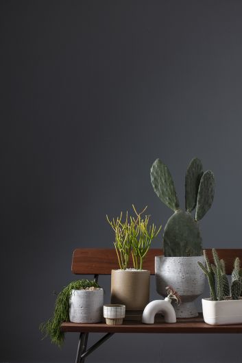 Elia Vase